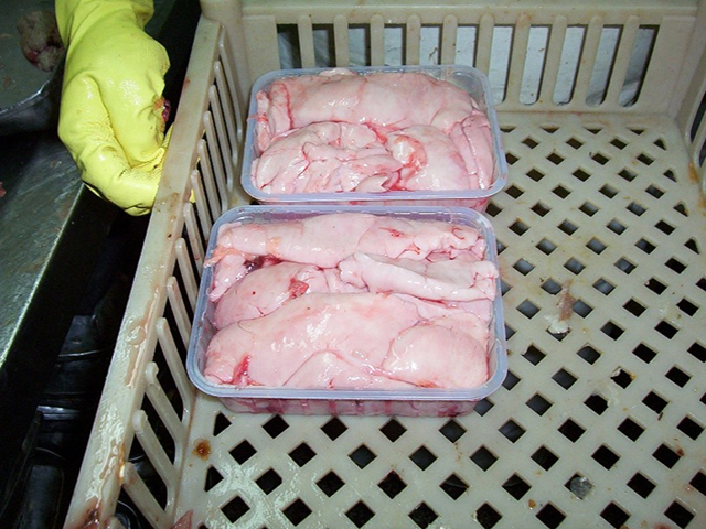 imagen de salmón en lonjas grandes